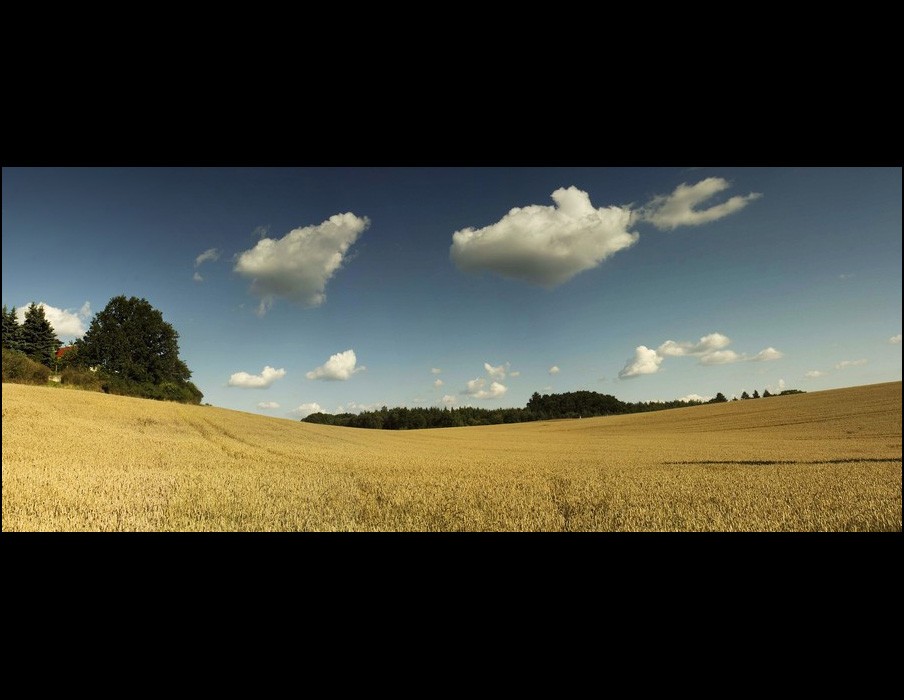 panorama1.jpg