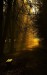 DSC03430++.jpg