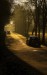 DSC03501+.jpg