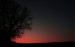 DSC02994.jpg