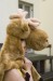 DSC04237.jpg